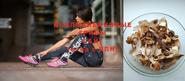 гидра Алзамай