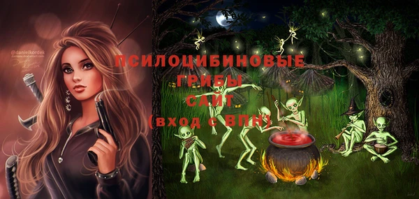 гидра Алзамай