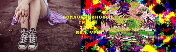 гидра Алзамай